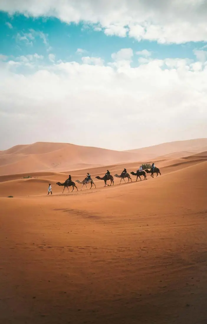 Marrakech Mirage Travels